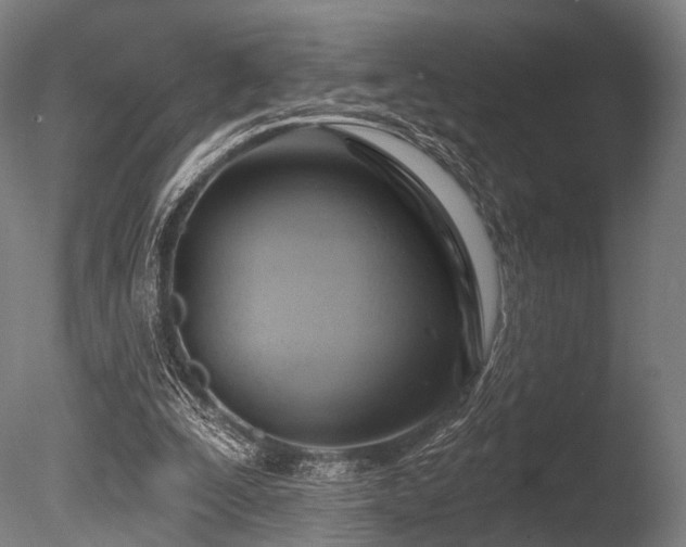 X0000086000295200703231152