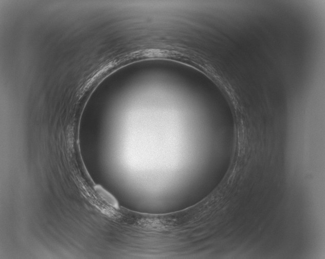 X0000086000297200703231152