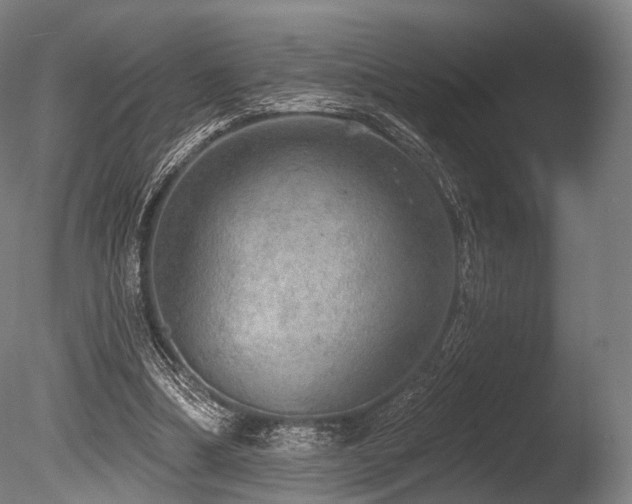 X0000086000298200703231152