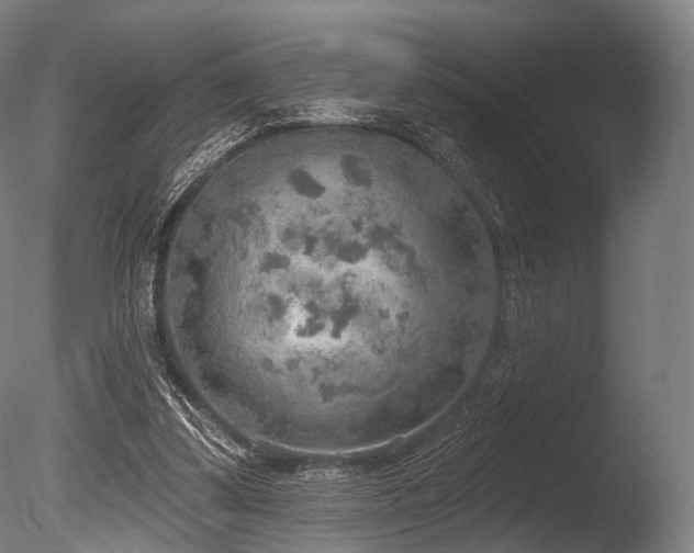 X0000086000299200703231152