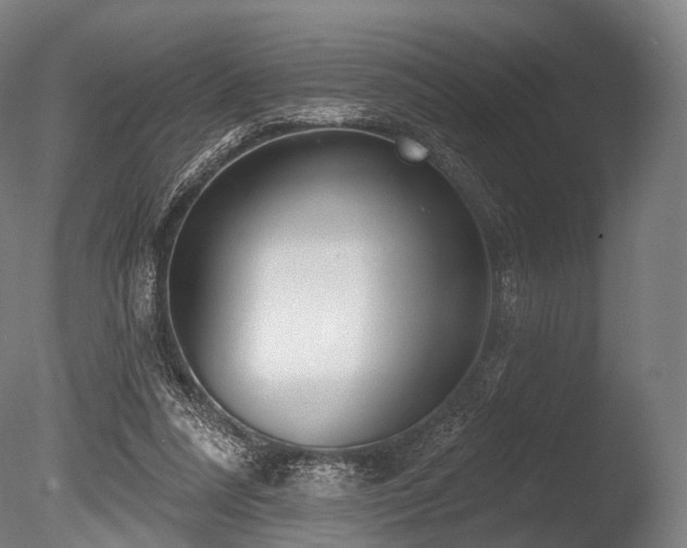 X0000086000304200703231152