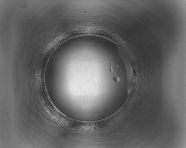 X0000086000306200703231152