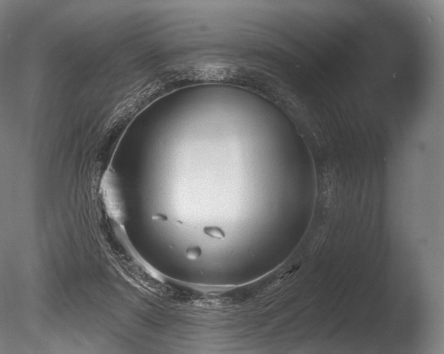 X0000086000307200703231152