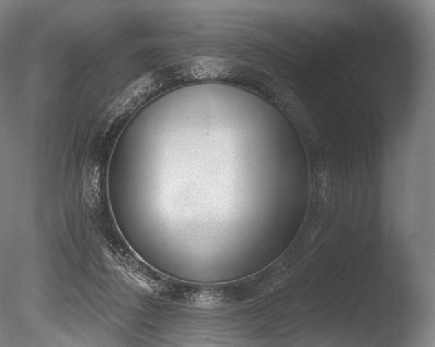 X0000086000308200703231152