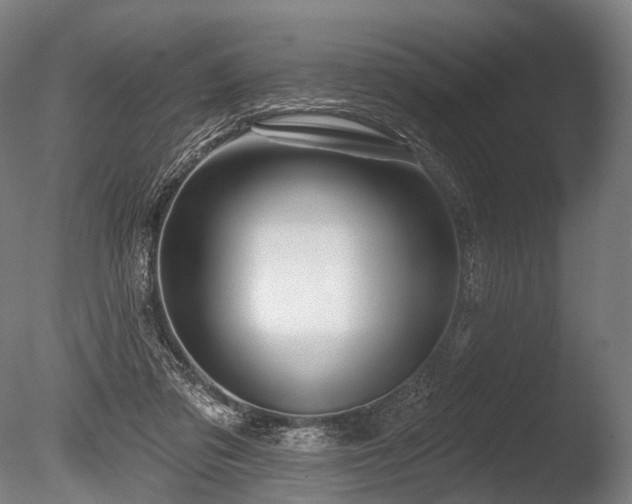 X0000086000309200703231152