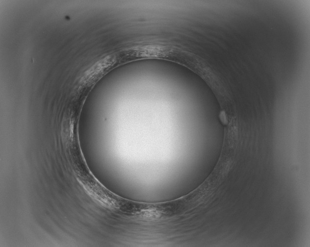 X0000086000310200703231152