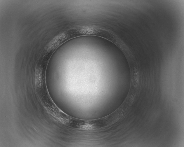 X0000086000312200703231152