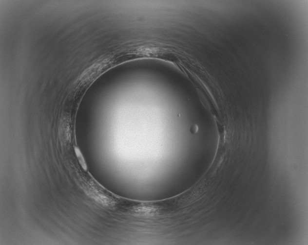 X0000086000313200703231152