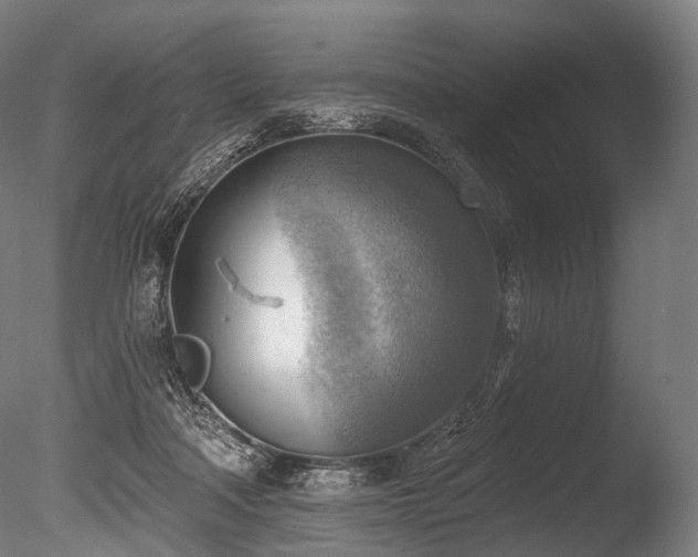 X0000086000314200703231152