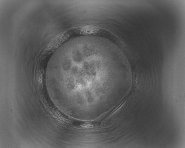 X0000086000315200703231152