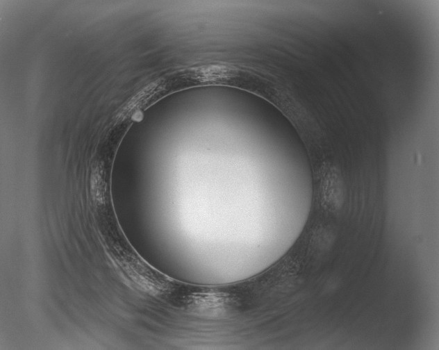 X0000086000316200703231152