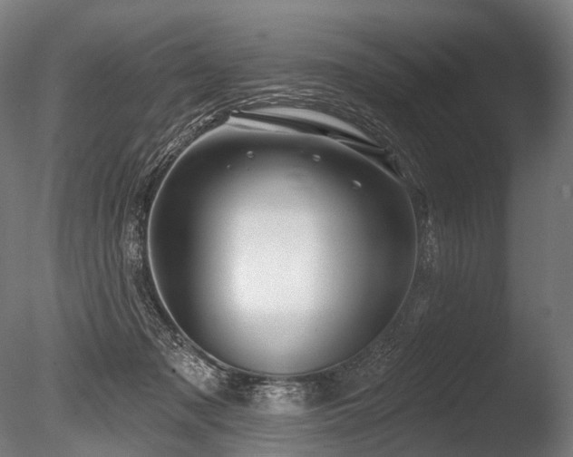 X0000086000317200703231152