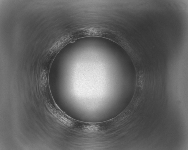 X0000086000318200703231152