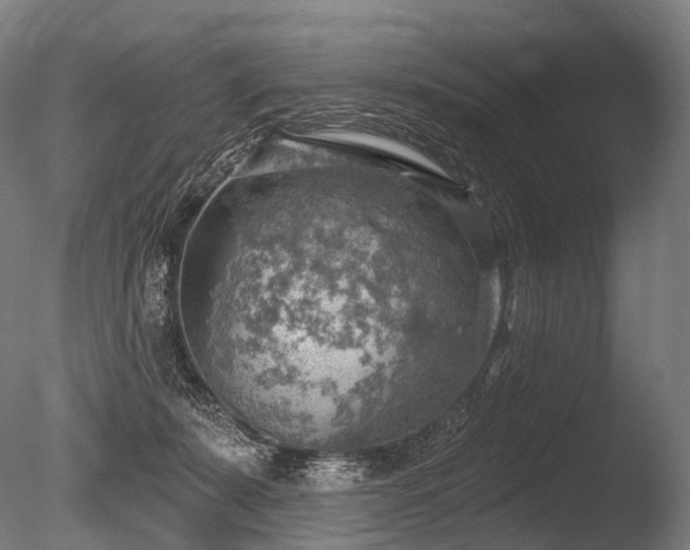 X0000086000319200703231152