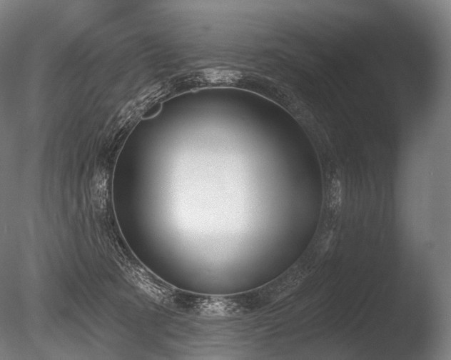 X0000086000321200703231152