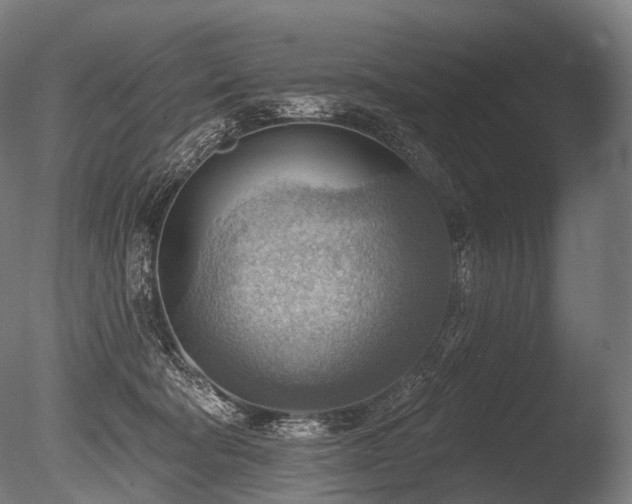 X0000086000322200703231152