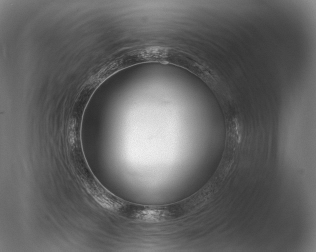 X0000086000323200703231152