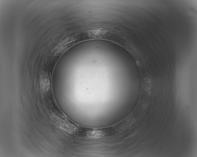 X0000086000324200703231152