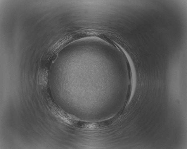 X0000086000325200703231152