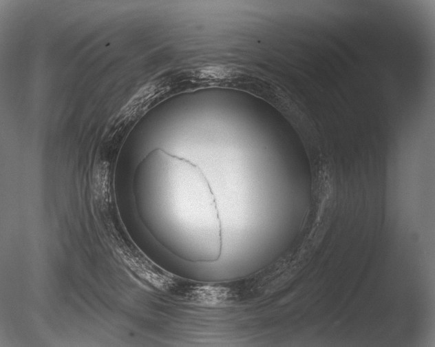 X0000086000328200703231152