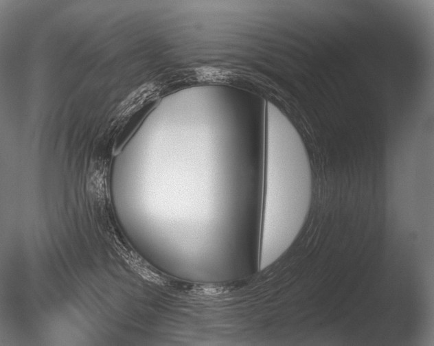 X0000086000329200703231152