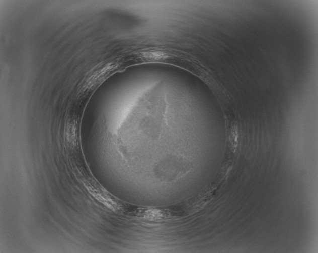 X0000086000330200703231152