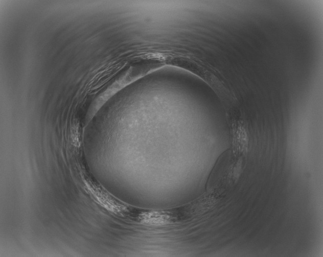 X0000086000331200703231152