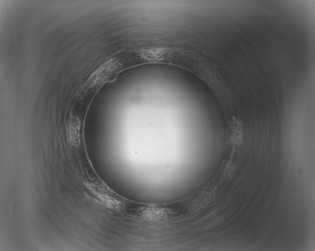 X0000086000332200703231152