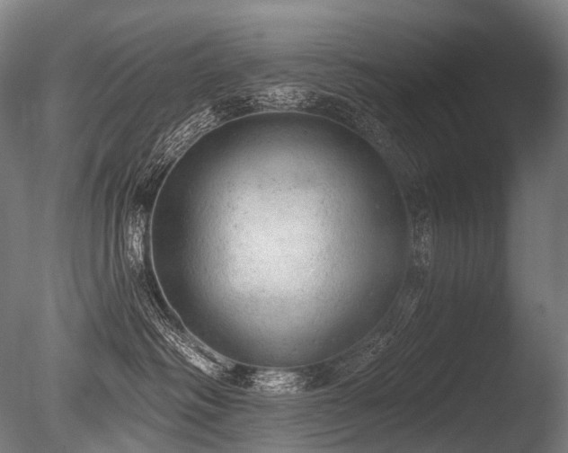 X0000086000334200703231152