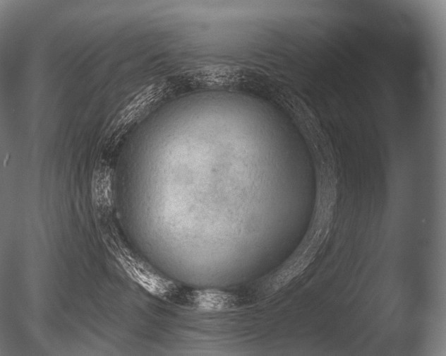 X0000086000336200703231151