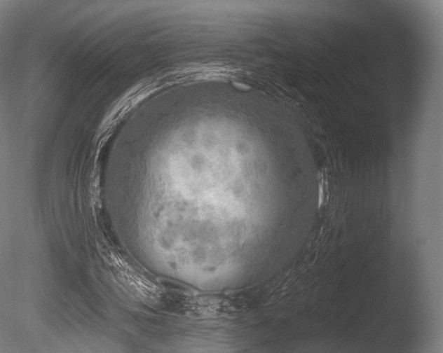 X0000086000339200703231151