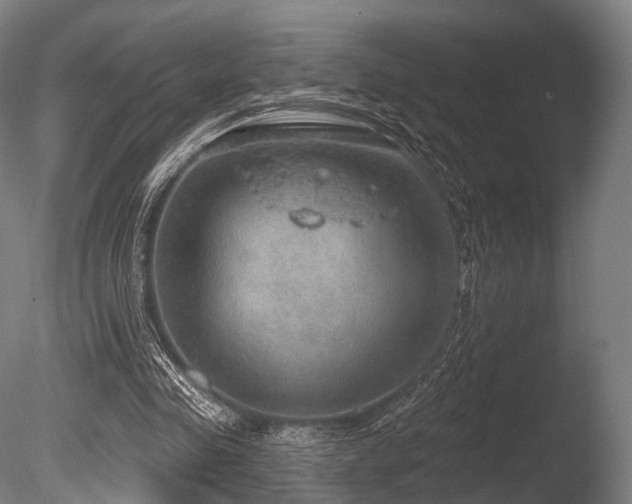 X0000086000341200703231151