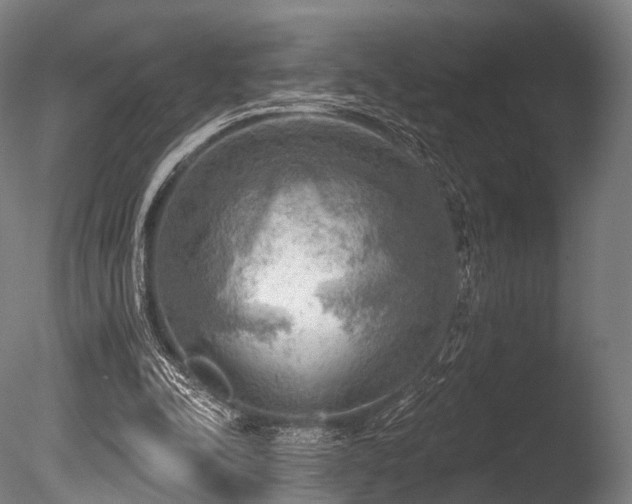 X0000086000342200703231151