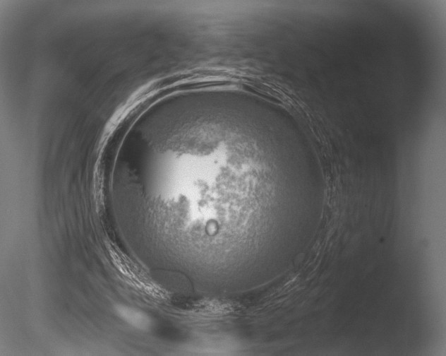 X0000086000343200703231151