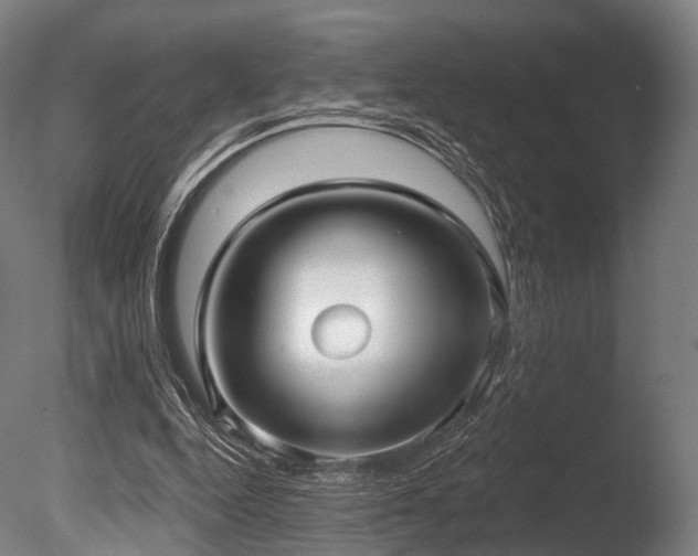 X0000086000344200703231151