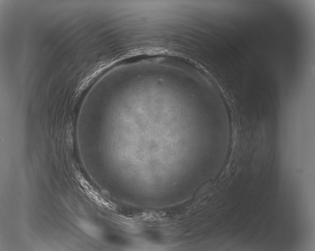 X0000086000345200703231151