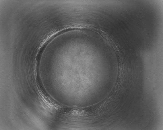 X0000086000346200703231151