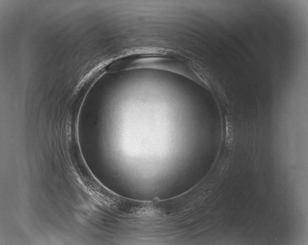 X0000086000348200703231151