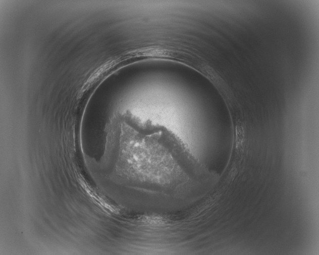 X0000086000349200703231151