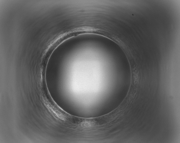 X0000086000350200703231151