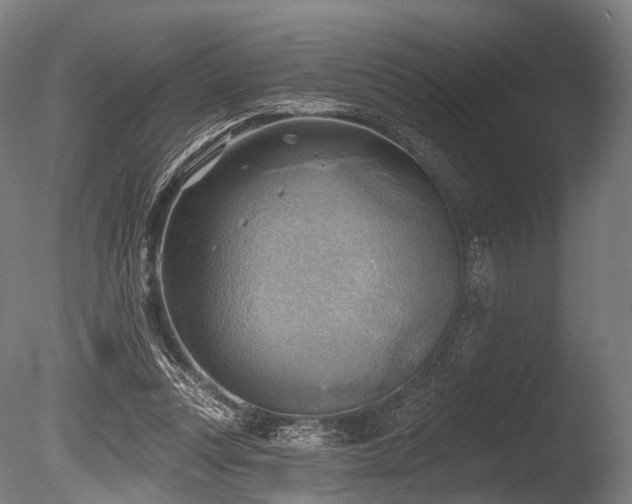 X0000086000351200703231151