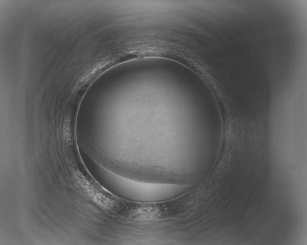 X0000086000353200703231151