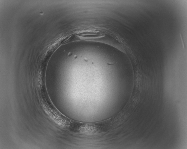 X0000086000354200703231151