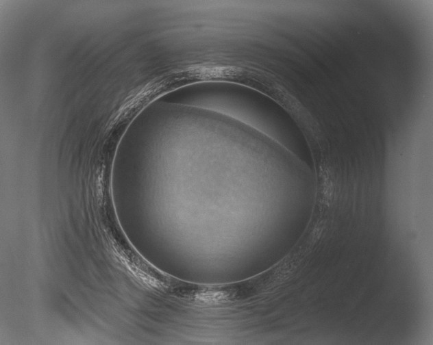 X0000086000357200703231151