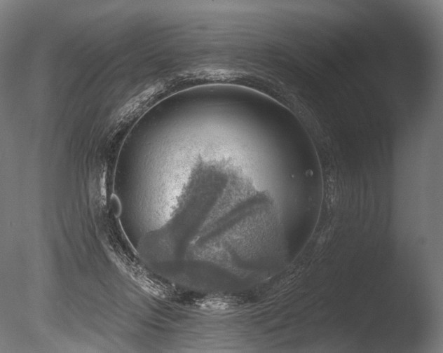 X0000086000358200703231151