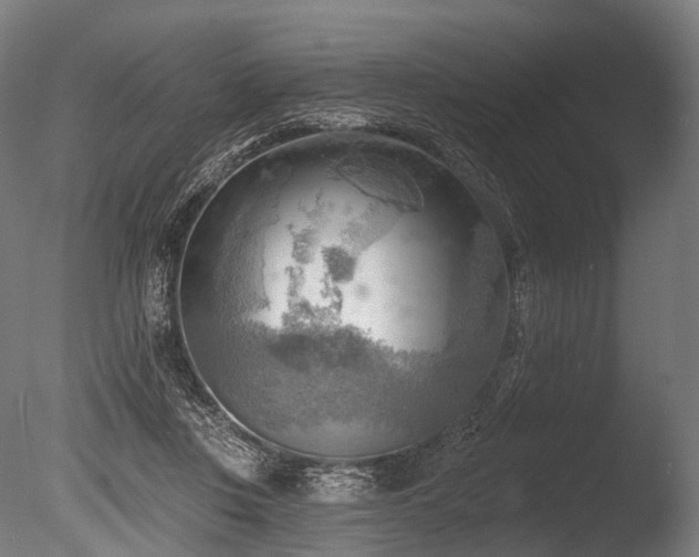 X0000086000359200703231151