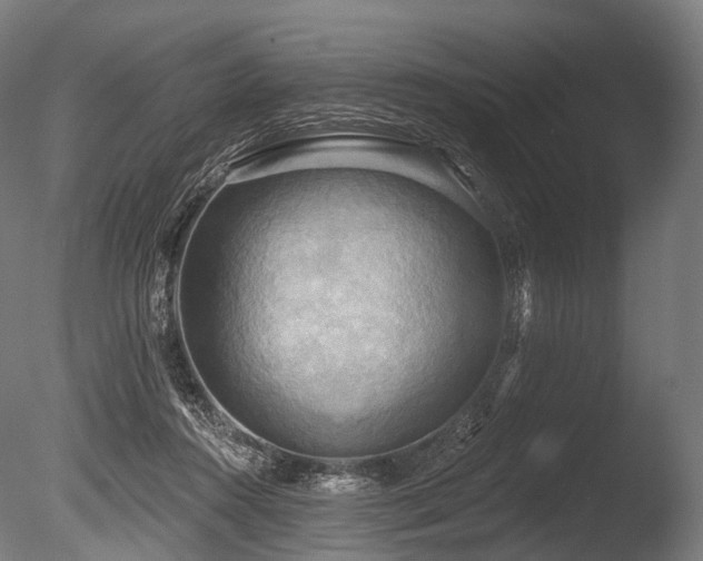 X0000086000360200703231151