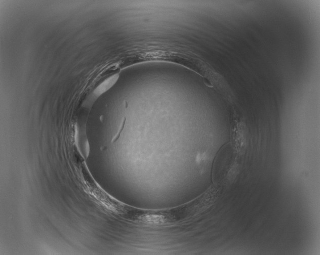 X0000086000361200703231151