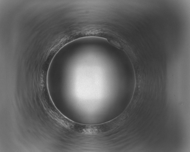 X0000086000362200703231151