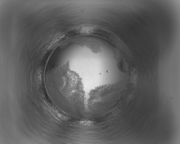 X0000086000363200703231151